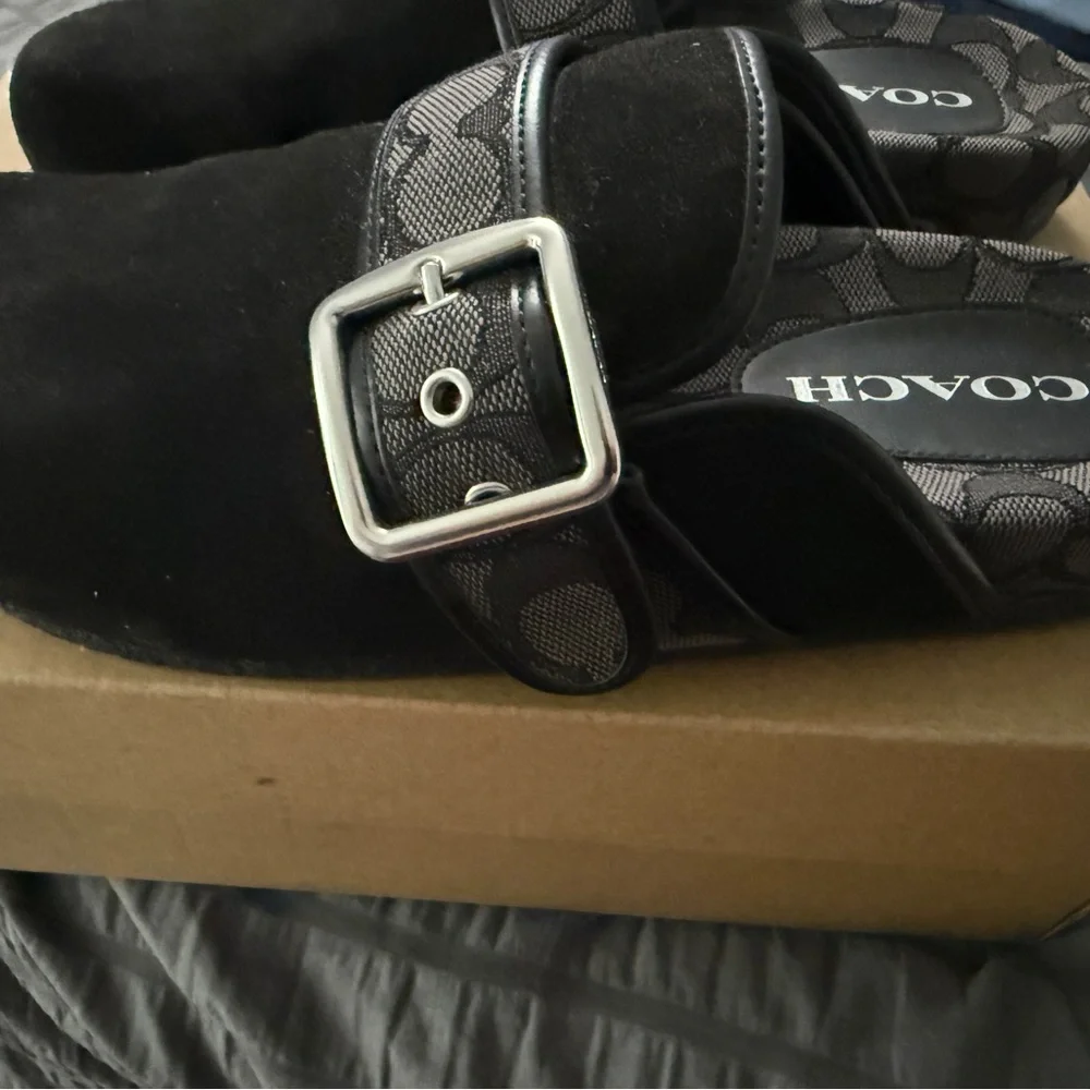 Coach Black Suede Clogs with Silver Buckle - Picture 6 of 8